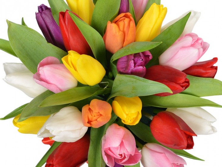 Что подарить на 8 марта?