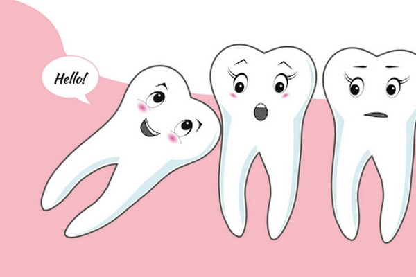 Нужны ли нам зубы мудрости?