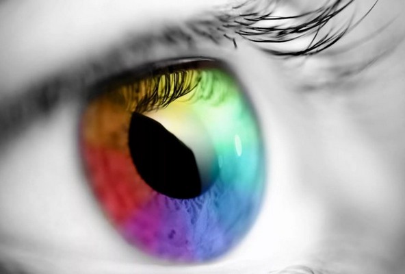 Пищевая тяга или о чём нам хочет сказать организм?