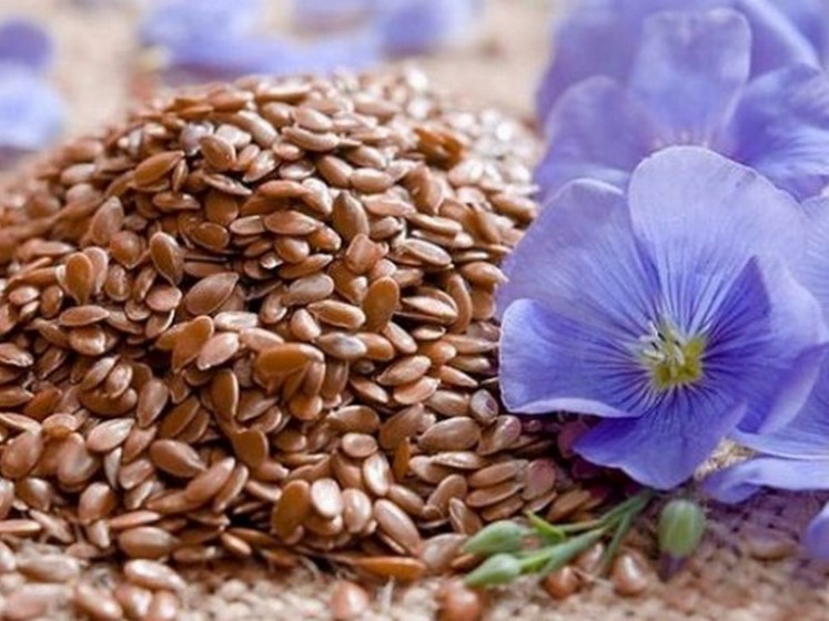 Продукты, которые обязательно нужно есть женщинам после 50