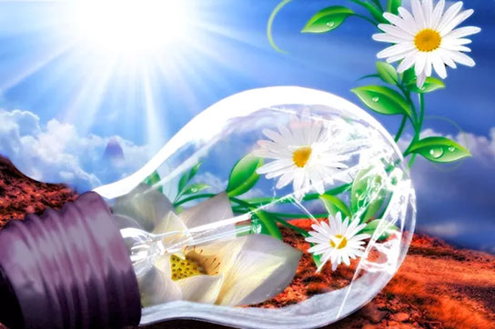 Международный день света