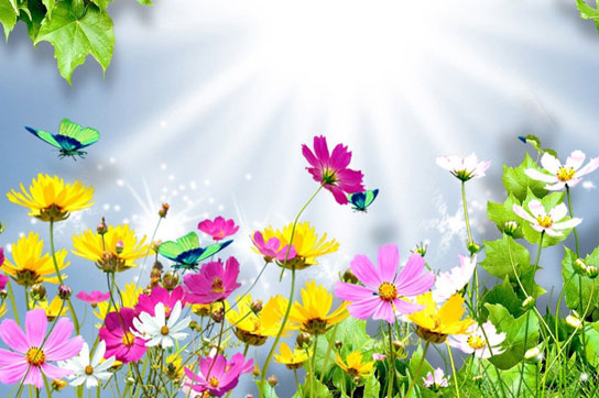 Летнее меню: Легкие пироги и полезные напитки для настоящих гурманов